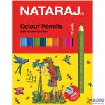 NATRAJ 24 COLOUR PENCIL BOX